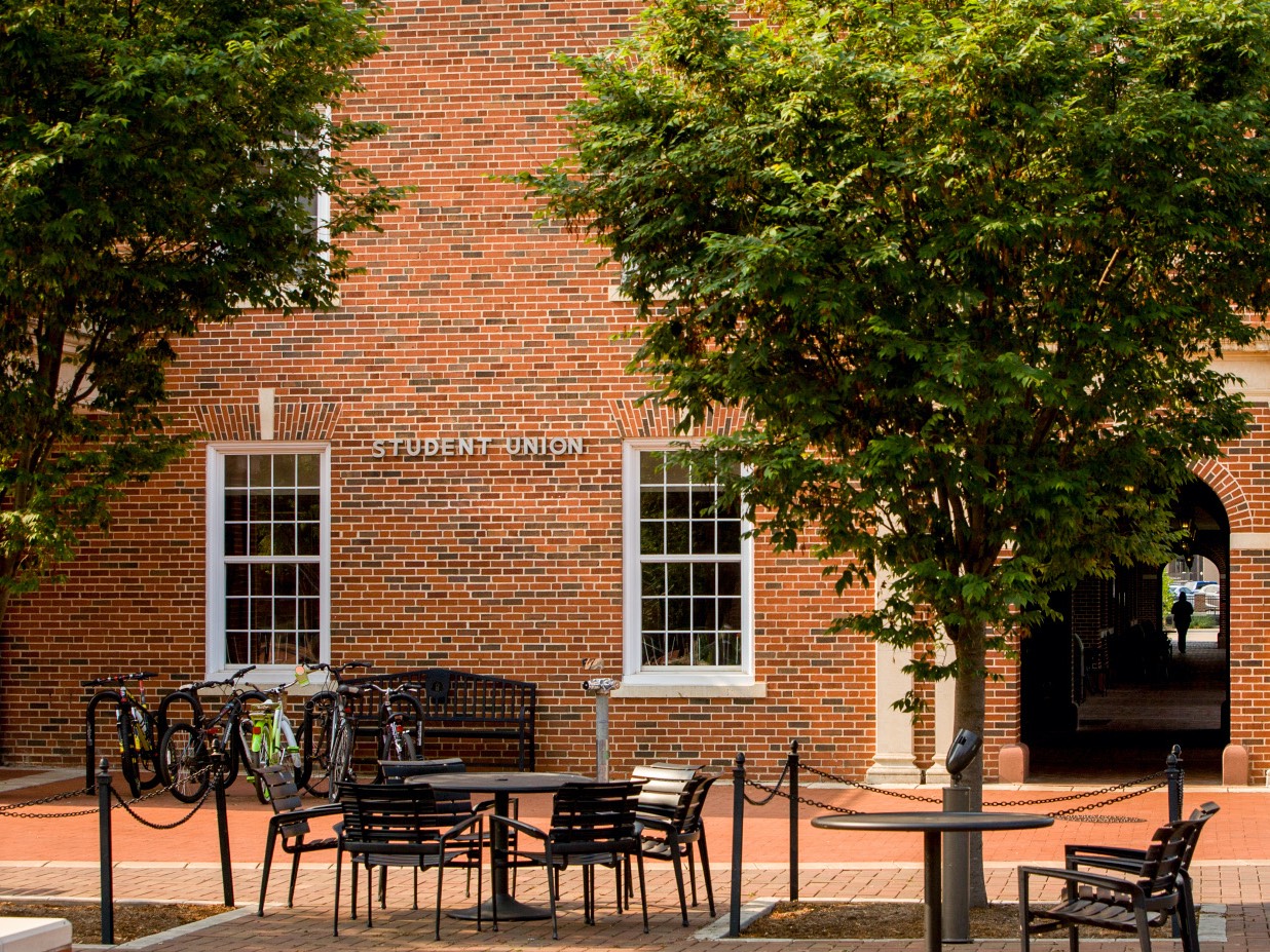 student union between two trees