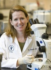Dr. Susan Little wearing a lab coat sitting at a microscope